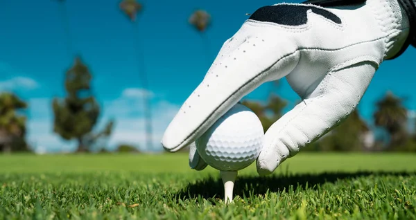 Hand Golf Handschoenen Zetten Golfbal Golfbaan Golfbal Tee Groen Gras — Stockfoto