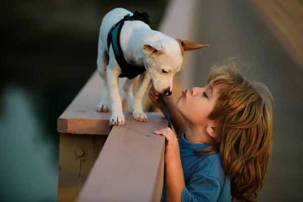 Cute Child Kissing Puppy Puppies Dod Playing — Stock Photo, Image