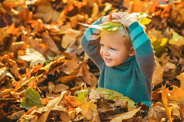 Boldog Gyermek Dobja Fel Lehullott Leveleket Játszik Őszi Parkban Kölyök — Stock Fotó