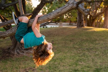 Komik dağcı çocuk. Çocuk ağaçta baş aşağı asılı duruyor. Çocuklar tırmanır