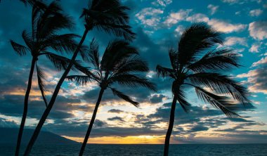 Sahil rüya sükuneti. Hawaii 'nin Maui Adası' ndaki sahil manzarası.