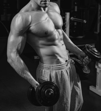 Athletic men exercise with weights dumbbells. Sporty lifestyle. Gym workouts. Attractive sports