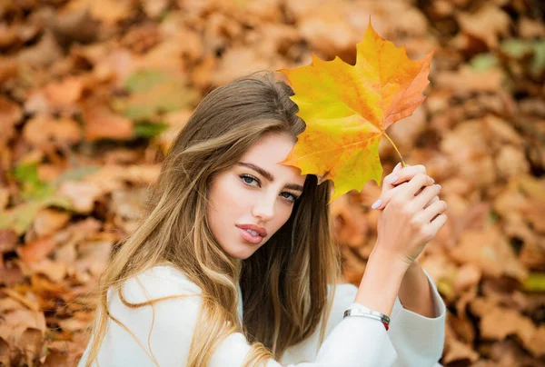 Herbstmode Junge Stilvolle Hipster Mädchen Modernen Kleidern Stadtpark Lächeln Glücklich — Stockfoto