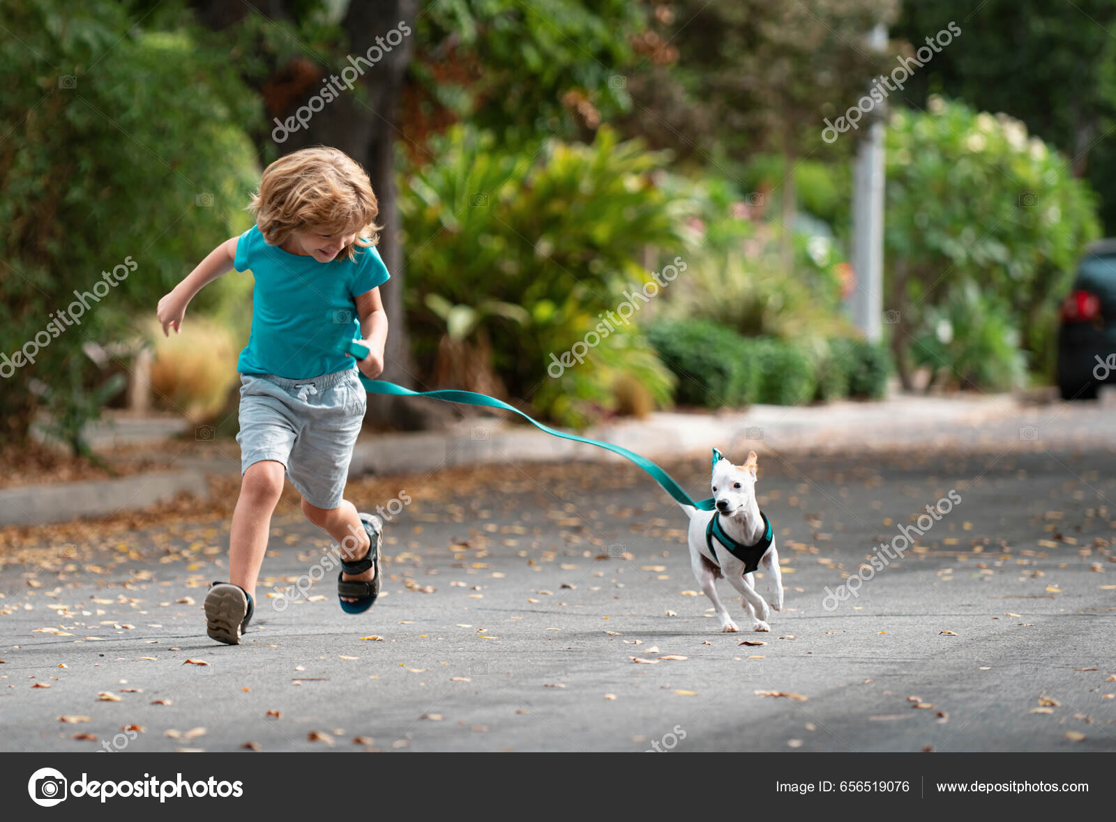 ребенка на поводке  Мальчик Бегает Собакой Поводке Улице Ребенок Играет Щенком Дети Другом —  Стоковое фото © Tverdohlib.com #656519076