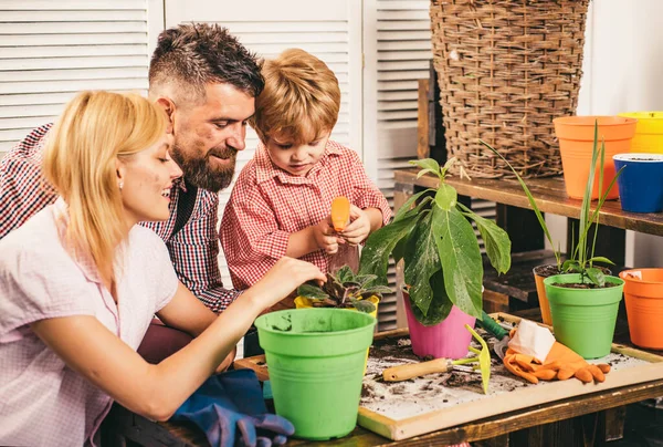 Junge Glückliche Eltern Mama Papa Mit Kind Wachsende Pflanze Topf — Stockfoto