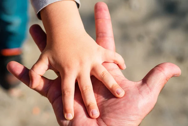 Aile Elleri Babalık Kavramı Çocuk Baba Ilişkileri Çocuklar Uyum Sağlar — Stok fotoğraf