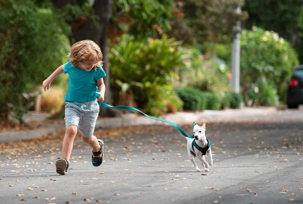 Niño Correr Con Perro Correa Caminar Aire Libre Chico Jugando —  Fotos de Stock