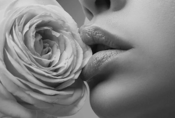 Lábios Mulher Bonita Com Rosa Mulheres Sensuais Abrem Boca Close — Fotografia de Stock