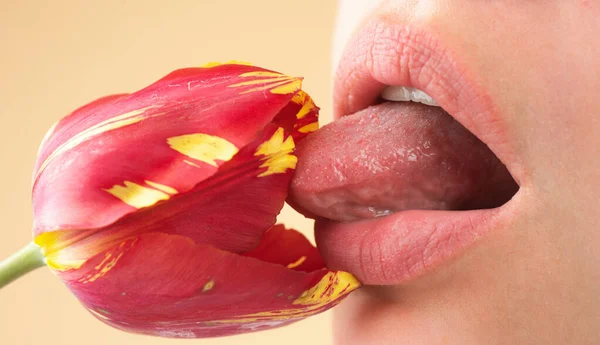 Fylliga Läppar Slickar Tulpan Naturliga Läppar Med Tulpan Sexig Kvinna — Stockfoto