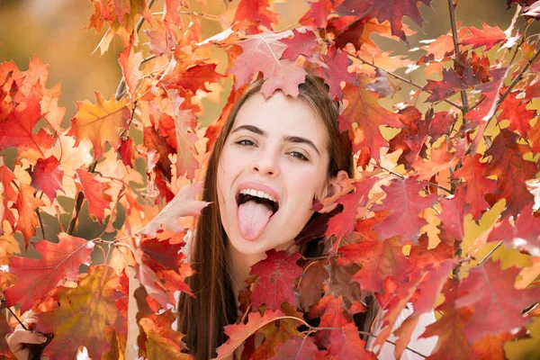Portret Młodej Kobiety Jesiennymi Liśćmi Romantyczna Dziewczyna Marzy Jesiennych Liściach — Zdjęcie stockowe
