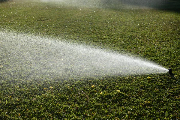 Watering grass. Sprinklers watering grass, green lawn in garden.