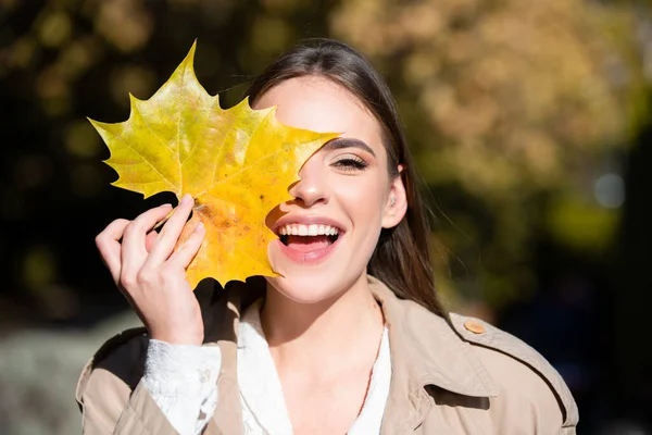 秋に屋外の美しい女の子 若い女性は秋に黄色の紅葉を収集します 美人は秋の黄色い葉を顔に持つ 秋の背景に官能的な女性の肖像画 — ストック写真