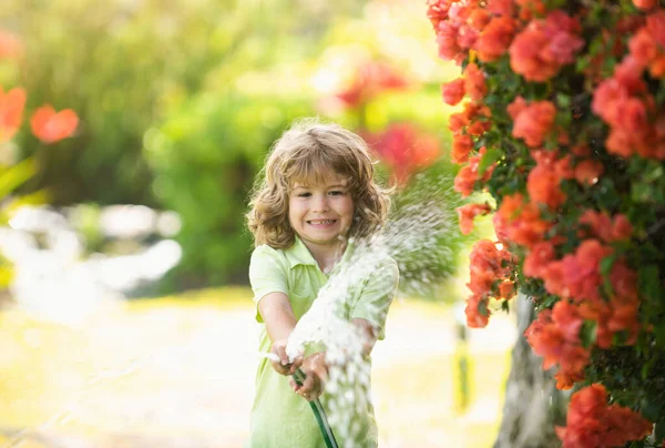 Child Watering Plant House Concept Plant Growing Learning Activity Kids — Stock Photo, Image