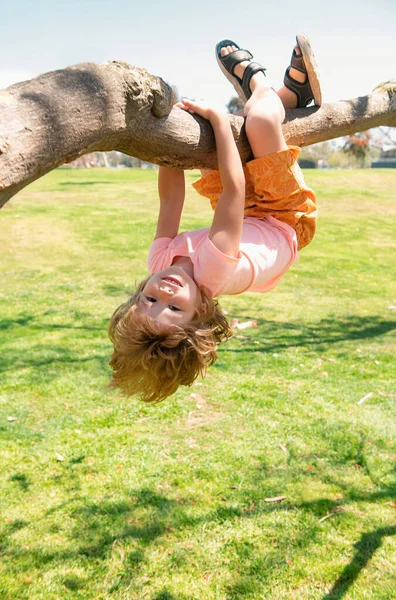 木の枝に子供 アドベンチャーアクティビティパークで子供クライミング 保険の子供たち 木に登ろうとする挑戦に直面している小さな男の子 子供の男の子が遊んで木に登ると枝をぶら下げ — ストック写真