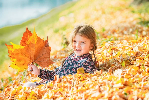 Ευτυχισμένο Φθινοπωρινό Παιδί Διασκεδάζει Φύλλα Έξω Στο Πάρκο Πτώση Αφήνει — Φωτογραφία Αρχείου