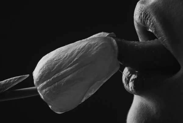 Berbat Öpüşme Konsepti Seksi Dolgun Dudaklar Dudak Parlatıcısı Kadın Ağzı — Stok fotoğraf