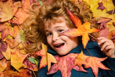 Child portrait close up, kid lying in autumn leaves. Children throwing yellow leaves. Child boy with oak and maple leaf outdoor. Fall foliage. Toddler or preschooler in fall autumn nature