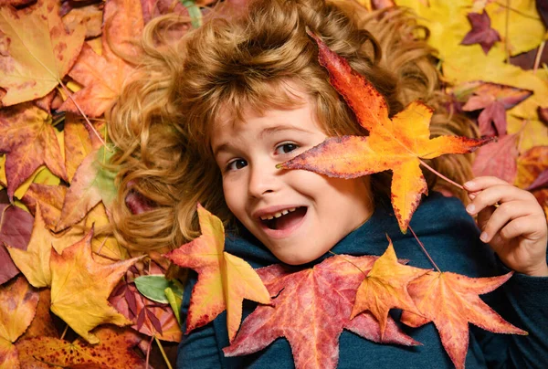 Child portrait close up, kid lying in autumn leaves. Children throwing yellow leaves. Child boy with oak and maple leaf outdoor. Fall foliage. Toddler or preschooler in fall autumn nature