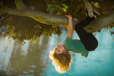 Çocuk yaz parkında yüksek ağaca tırmanıyor. Ağaçta oturan, ağaca tırmanan sevimli çocuk portresi. Bahçede oynayan aktif bir çocuk. Çocuk yaşam tarzı konsepti. Kırsal kesimdeki çocuklar