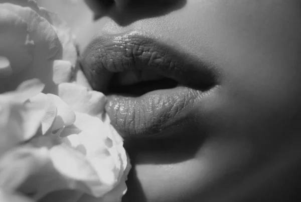 Lábios Com Fecho Batom Lábios Mulher Sensual Com Rosa — Fotografia de Stock