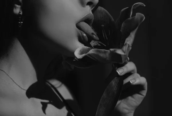 Γυναικεία Χείλη Κρίνο Ημέρας Oriental Hybrids Λίλιουμ Σέξι Γυναίκα Γλείφει — Φωτογραφία Αρχείου