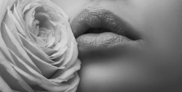 Κοντινό Πλάνο Σέξι Γυναίκα Φυσικά Χείλη Και Ροζ Τριαντάφυλλο Κομμάτι — Φωτογραφία Αρχείου