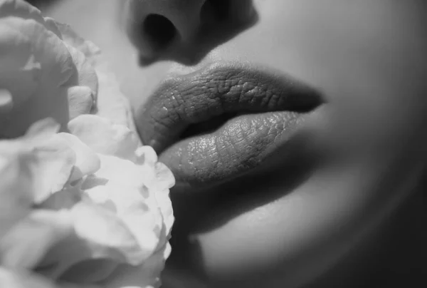 完璧な自然なリップメイク 美しい女性の口でマクロ写真を閉じます 唇を丸めて 美しいです女性唇とともにローズ — ストック写真