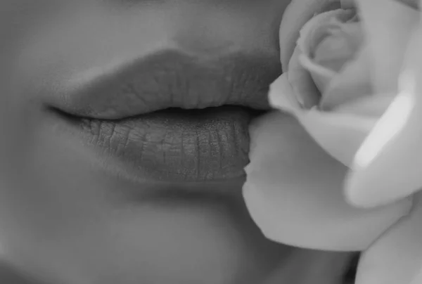 Lips Beauty Primer Plano Hermosa Boca Mujer Labios Con Rosa —  Fotos de Stock
