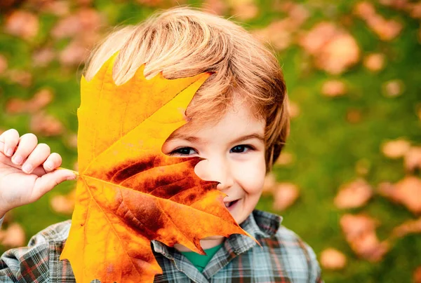 Φθινόπωρο Αφήνει Παιδί Ευτυχισμένο Παιδί Που Πετάει Πεσμένα Φύλλα Παίζοντας — Φωτογραφία Αρχείου