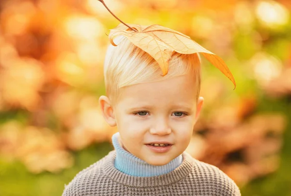 Outono Livre Retrato Bela Criança Feliz Andando Parque Floresta Roupas — Fotografia de Stock