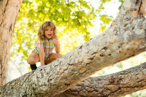 Chlapec Hraje Leze Strom Věší Větev — Stock fotografie