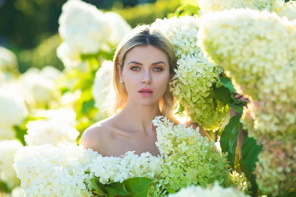 Sensual Woman Blooming Bush Hydrangea Flowers Summer Garden Big White — Stockfoto