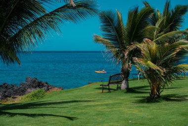 Kum, okyanus, palmiye yaprakları, palmiye ağaçları ve mavi gökyüzü olan tropik deniz plajı. Yaz sahili geçmişi