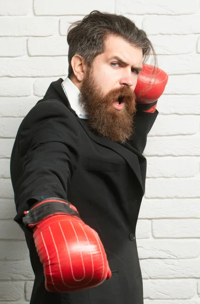 Muž Obleku Boxerskými Rukavicemi Střehu Konfliktní Bojový Koncept Obchodník Boxerskými — Stock fotografie