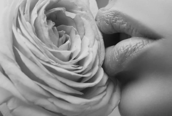 Όμορφη Γυναίκα Χείλη Τριαντάφυλλο Όμορφα Χείλη Ομορφιά Καλλυντικά Χείλη Αισθητική — Φωτογραφία Αρχείου