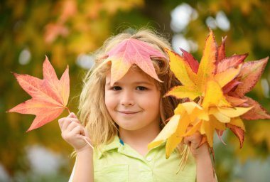 Autumn child with autumn leaves on fall nature background. Portrait of kid with fall leaves outdoor in autumn park