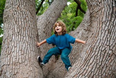 Küçük şirin çocuk yaz günü ağaca tırmanmaktan zevk alıyor. Tatlı çocuk tırmanmayı öğreniyor, ormanda eğleniyor ya da güneşli bir günde park ediyor. Doğada mutlu zamanlar