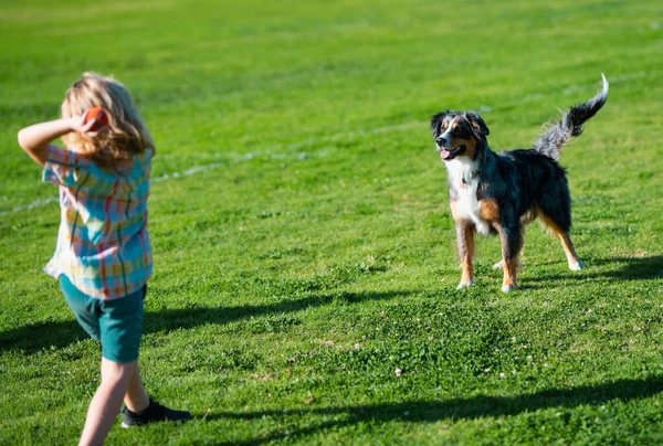 快乐的孩子和宠物狗在后院草坪玩耍 可爱的男孩和小狗在户外玩耍 周末享受夏日阳光明媚的假期 快乐的孩子和宠物最好的朋友在一起 — 图库照片#