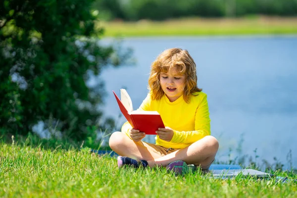 Милый Ребенок Читает Книжку Лугу Открытом Воздухе Школа Образование Природа — стоковое фото