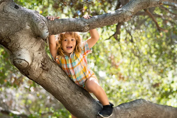 Funny Child Climbing Tree Garden Active Kid Playing Outdoors Portrait — Photo