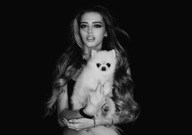 Pomeranya köpeği ya da köpek yavrusu. Güzellik kraliçesi olan sevimli bir ev köpeği. Köpekli kadın. Güzel bir kadın modelin portresi. Vogue makyajlı güzel bir kız.