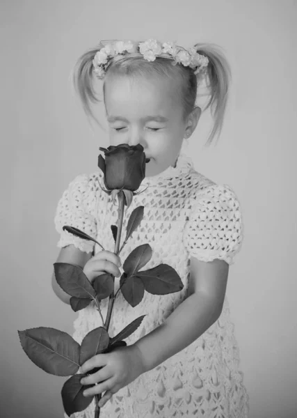Любовний Подарунок Дитячий День Маленька Дитина Червоною Трояндою Щасливе Дитинство — стокове фото
