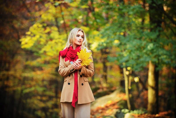 穿着秋色衣服的年轻时尚女性 — 图库照片