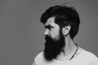 Ciddi bir adamın yarım yamalak portresi sakalı ve bıyığı var, ciddi ve gri üzerinde izole görünüyor. Hippi sakallı adam, yüz ifadesi. Yakışıklı erkek model.