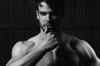 Genç adamın kameraya baktığı bir stüdyo fotoğrafı. Kendine güveni olan yakışıklı bir adam. Erkekler cinsellik, cazibe ve karizma