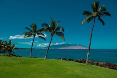 Plaj ve tropikal deniz. Doğanın okyanus manzarası
