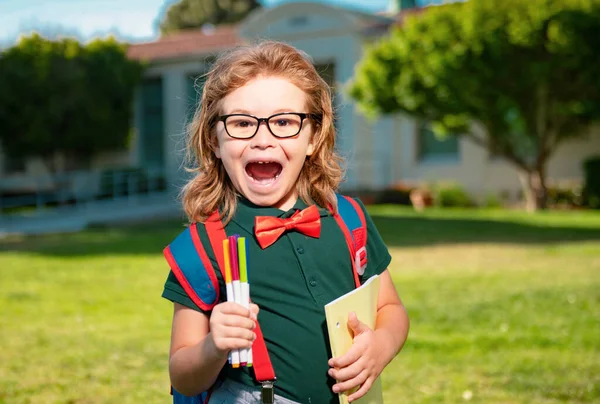 Повернутися Школи Щасливий Усміхнений Схвильований Учень Початкової Школи Перший День — стокове фото