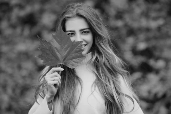 Mode Herbst Porträt Frau Verbirgt Ihr Gesicht Gelben Ahornblättern Hübsches — Stockfoto