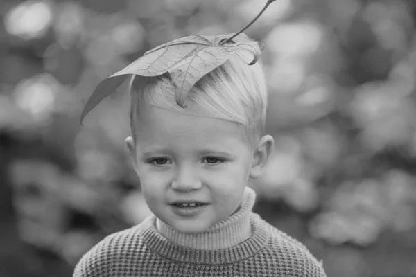 Őszi Szabadtéri Portré Gyönyörű Boldog Gyermek Séta Parkban Vagy Erdőben — Stock Fotó