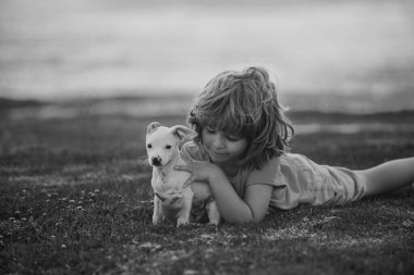 Sevimli çocuk evcil köpeğini kucaklıyor. Köpekli çocuk doğada dinleniyor.